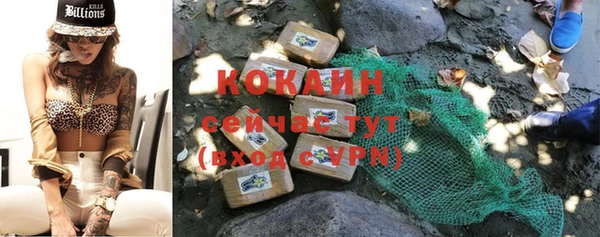 спайс Няндома