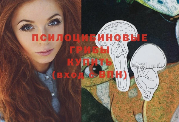 кокаин Новозыбков