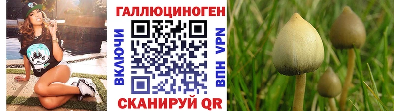 Галлюциногенные грибы мухоморы Купить Конаково